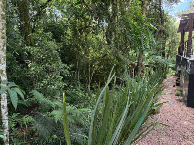 Terreno / Lote para Venda em Canela/RS Reserva da Serra
