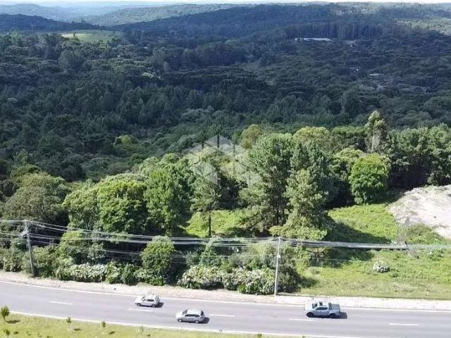 Terreno / Lote para Venda em Canela/RS São José