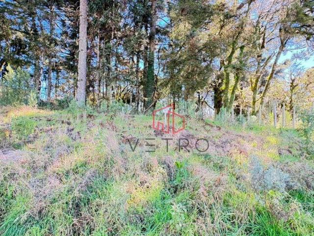 Terreno / Lote para Venda em Canela/RS São Luiz