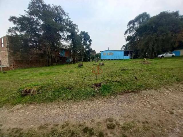 Terreno / Lote para Venda em Canela/RS São Luiz
