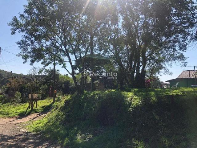 Terreno / Lote para Venda em Canela/RS Santa Terezinha