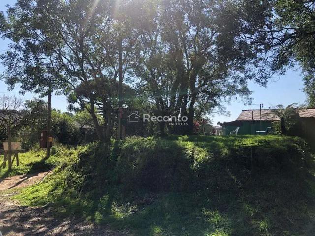 Terreno / Lote para Venda em Canela/RS Santa Terezinha