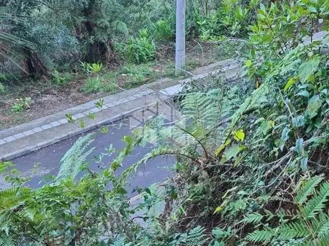 Terreno / Lote para Venda em Canela/RS Santa Terezinha