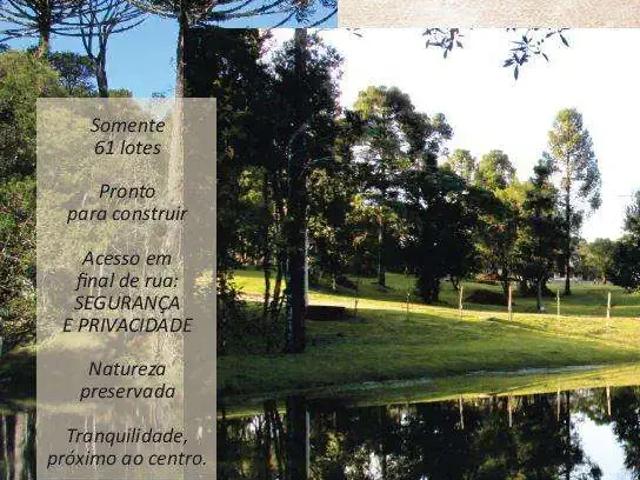 Terreno / Lote para Venda em Canela/RS Saiqui