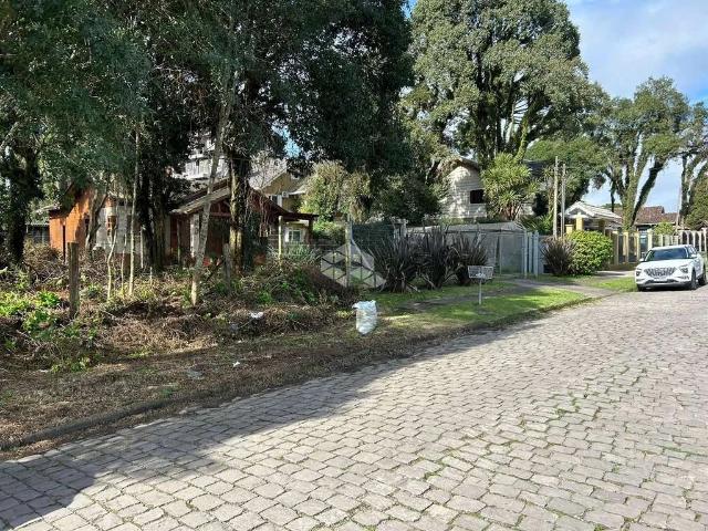 Terreno / Lote para Venda em Canela/RS Serrano