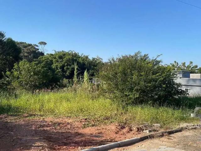 Terreno / Lote para Venda em Canelinha/SC Zona Rural