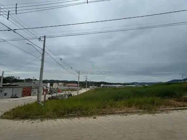 Terreno / Lote para Venda em Canelinha/SC Areião