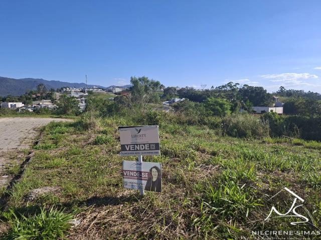 Terreno / Lote para Venda em Canelinha/SC Loteamento Portal do Valle