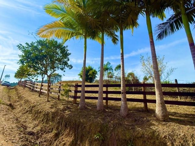 Terreno / Lote para Venda em Canelinha/SC Moura