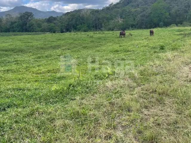 Terreno / Lote para Venda em Canelinha/SC Moura