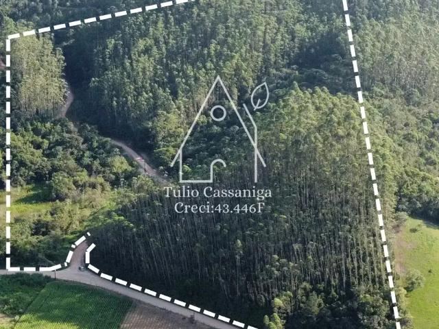 Terreno / Lote para Venda em Canelinha/SC Moura