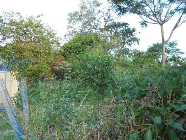 Terreno / Lote para Venda em Canoas/RS Centro