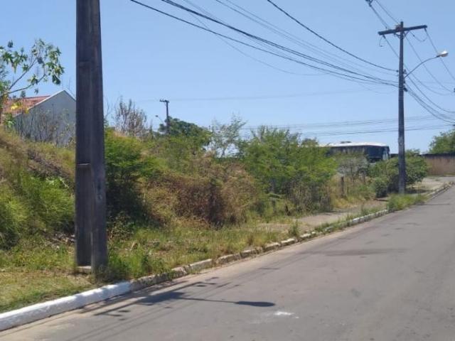 Terreno / Lote para Venda em Canoas/RS Estância Velha