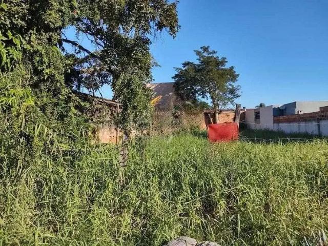 Terreno / Lote para Venda em Canoas/RS Mathias Velho