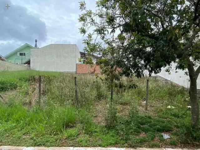 Terreno / Lote para Venda em Canoas/RS Moinhos De Vento