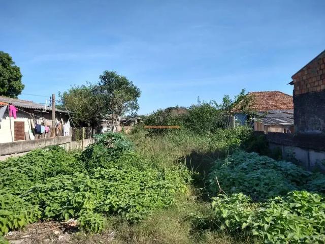 Terreno / Lote para Venda em Canoas/RS Niterói