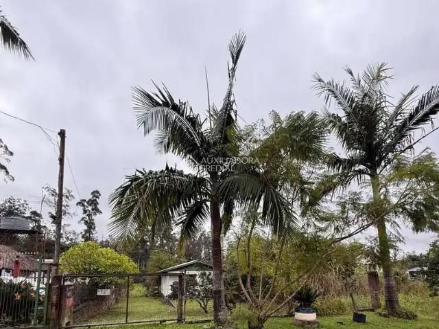 Terreno / Lote para Venda em Canoas/RS Olaria