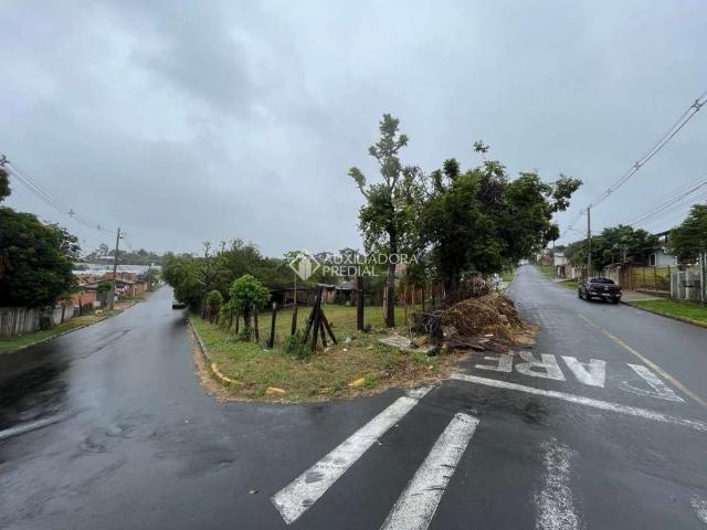 Terreno / Lote para Venda em Canoas/RS Olaria