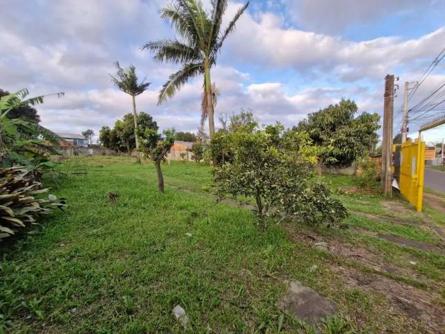 Terreno / Lote para Venda em Canoas/RS Olaria