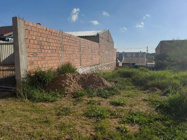 Terreno / Lote para Venda em Canoas/RS Olaria