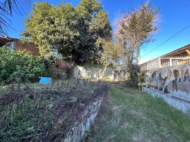 Terreno / Lote para Venda em Canoas/RS Olaria
