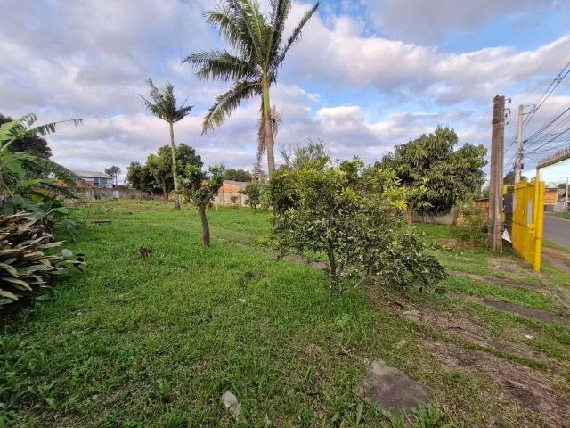 Terreno / Lote para Venda em Canoas/RS Olaria