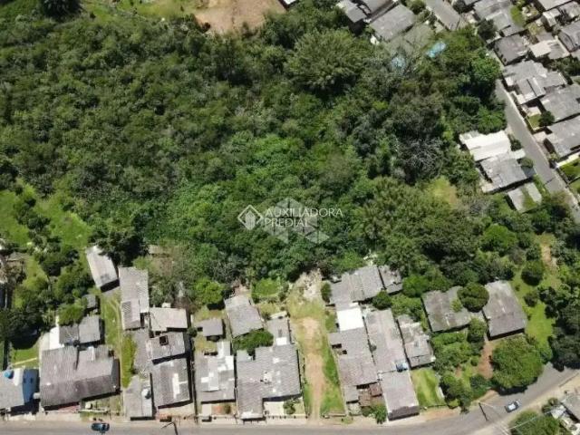 Terreno / Lote para Venda em Canoas/RS Olaria