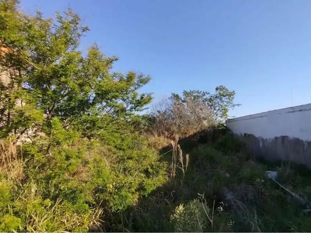Terreno / Lote para Venda em Canoas/RS São José