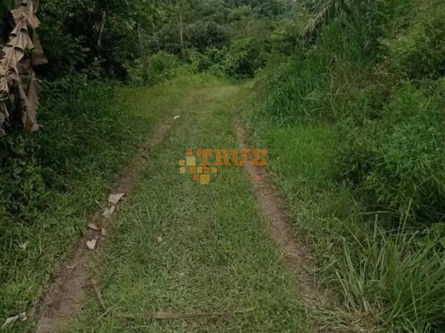 Terreno / Lote para Venda em Cabo de Santo Agostinho/PE Charneca