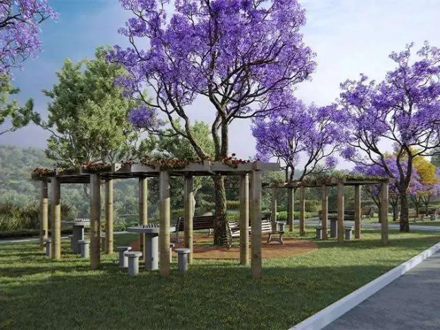 Terreno / Lote para Venda em Cabo de Santo Agostinho/PE Centro