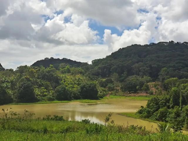Terreno / Lote para Venda em Cabo de Santo Agostinho/PE Charnequinha