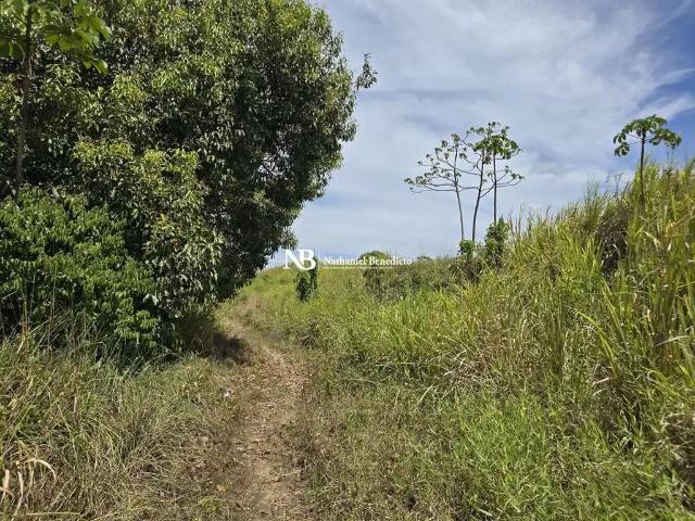 Terreno / Lote para Venda em Cabo de Santo Agostinho/PE Distrito Industrial Diper