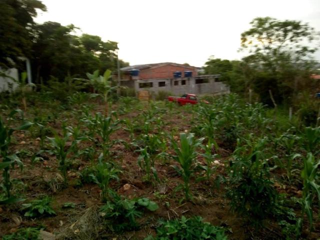 Terreno / Lote para Venda em Cabo Frio/RJ Aquarius Tamoios