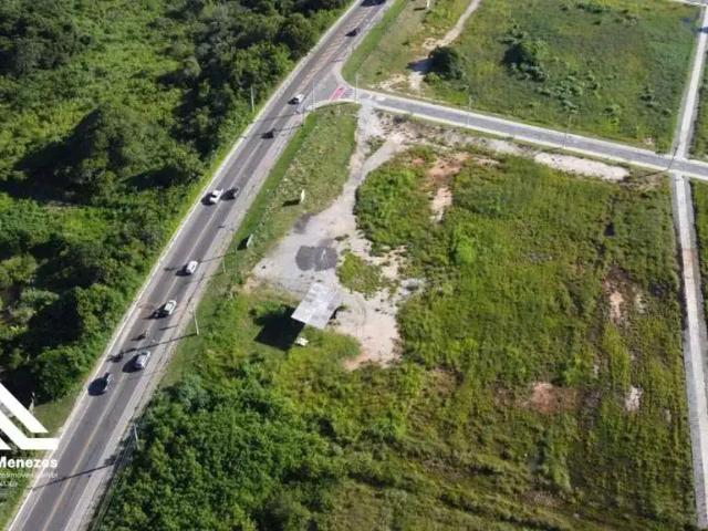 Terreno / Lote para Venda em Cabo Frio/RJ Caminho de Búzios