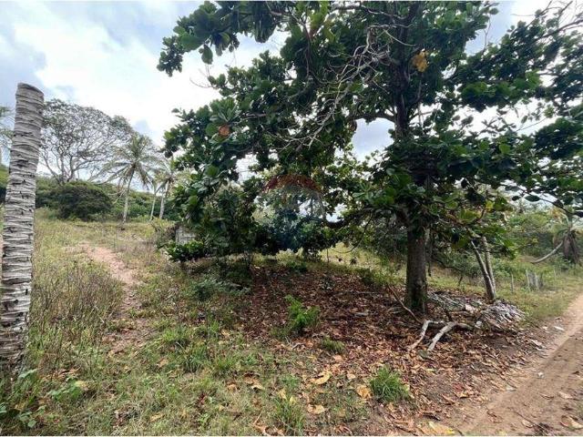 Terreno / Lote para Venda em Cabo Frio/RJ Reserva do Peró