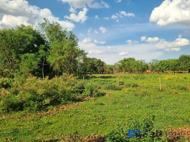 Terreno / Lote para Venda em Cachoeira Dourada/GO Setor Suleste
