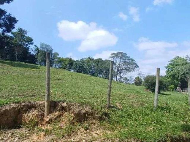 Terreno / Lote para Venda em Cachoeiras de Macacu/RJ Papucaia