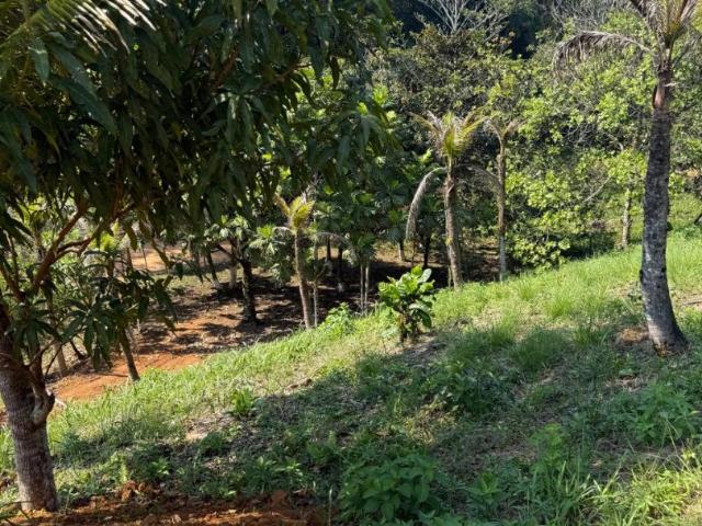 Terreno / Lote para Venda em Cachoeiras de Macacu/RJ Quizanga