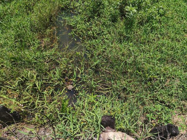 Terreno / Lote para Venda em Cachoeiras de Macacu/RJ Quizanga