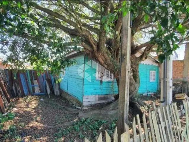 Terreno / Lote para Venda em Cachoeirinha/RS Vila Anair