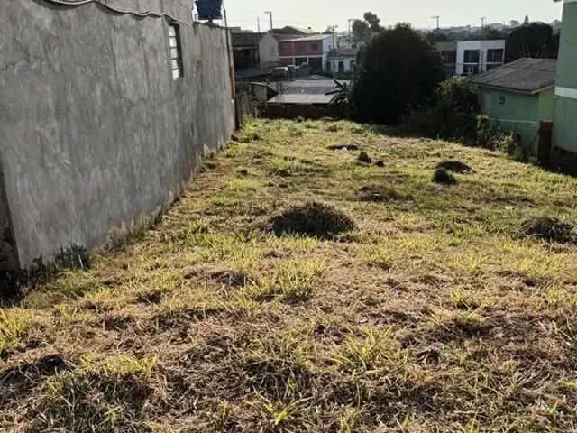 Terreno / Lote para Venda em Cachoeirinha/RS Vila Fátima