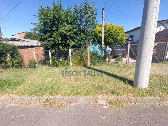 Terreno / Lote para Venda em Cachoeirinha/RS Vila Fátima