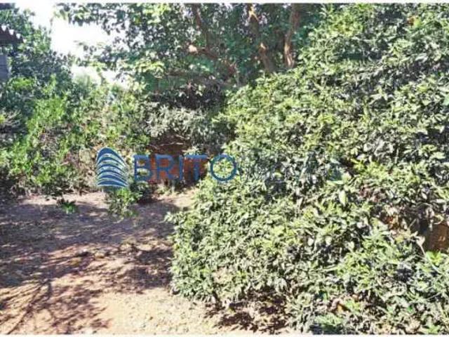 Terreno / Lote para Venda em Cachoeirinha/RS Vila Fátima