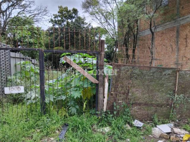 Terreno / Lote para Venda em Cachoeirinha/RS Vila Vista Alegre