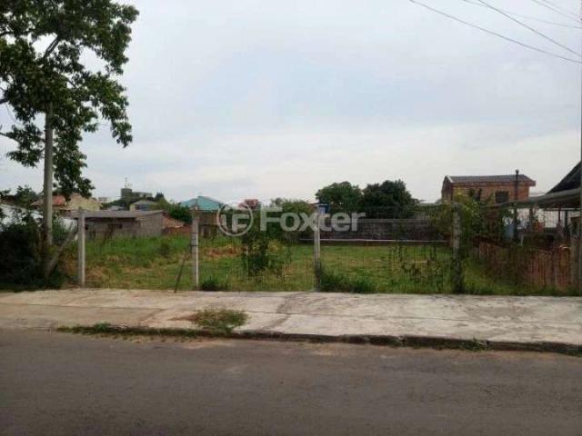 Terreno / Lote para Venda em Cachoeirinha/RS Vila Vista Alegre