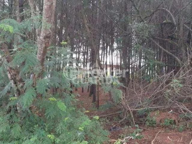 Terreno / Lote para Venda em Cachoeirinha/RS Distrito Industrial