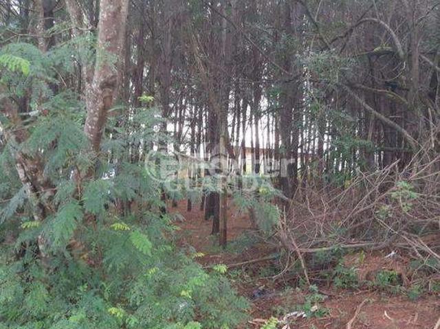 Terreno / Lote para Venda em Cachoeirinha/RS Distrito Industrial