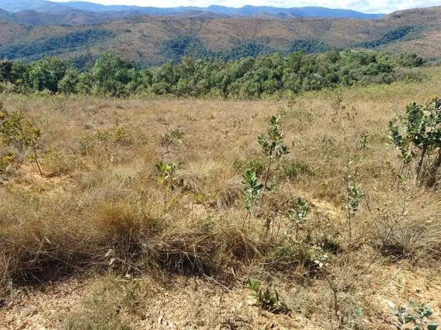 Terreno / Lote para Venda em Caeté/MG Morro Vermelho