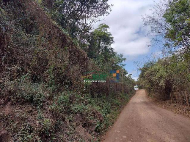Terreno / Lote para Venda em Caeté/MG Pedra Branca