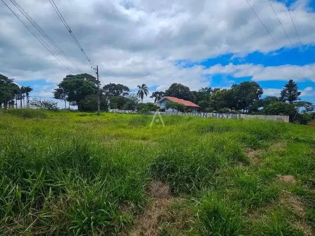 Terreno / Lote para Venda em Cafelândia/PR Centro